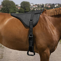Equithème Norton Reitpad Silicone für Warmblut in Schwarz – Bild 1 von 4