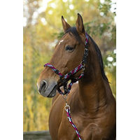 Produktbild von Equithème NORTON Tressé Halfter und Führstrick für Warmblut in Fuchsia, Hellblau und Marineblau