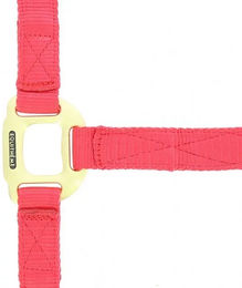 Equithème Nylonhalfter in Rosa/Rot Einheitsgröße – Bild 1 von 3