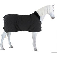 Produktbild von Equithème Paddock Matelassé Sports Outdoor-Pferdedecke in Schwarz