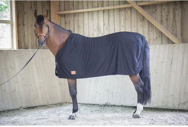 Equithème Paddock Sèche Abschwitzdecke für Pferde Schwarz aus Nylon – Bild 1 von 2