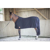Produktbild von Equithème Paddock Sèche Abschwitzdecke für Pferde Schwarz aus Nylon