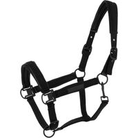 Produktbild von Equithème Pearl Pferd Halfter aus Polyester in Schwarz
