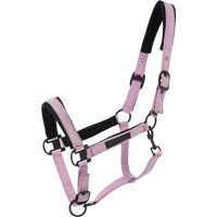 Produktbild von Equithème Pearl Pferdehalfter aus Polyester für Ponys in Schwarz oder Rosa