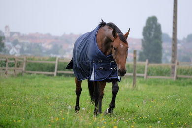 Equithème Pferdedecke aus Polyester 6'0" – Bild 1 von 2