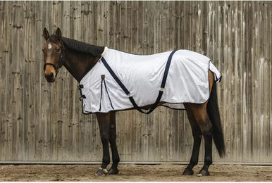 Produktbild von Equithème Pferdedecke in Weiß