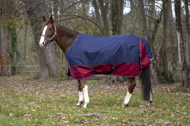 Produktbild von Equithème Pferdedecke Tyrex 1200D aus Polyester