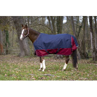 Produktbild von Equithème Pferdedecke Tyrex 1200D aus Polyester