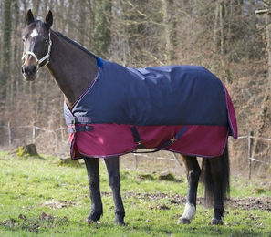 Produktbild von Equithème Pferdedecke Tyrex 1200D aus Polyester bunt - 50 g