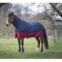 Produktbild von Equithème Pferdedecke Tyrex 1200D Combo aus Polyester bunt