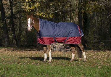 Produktbild von Equithème Pferdedecke Tyrex 1200D High Neck Blau