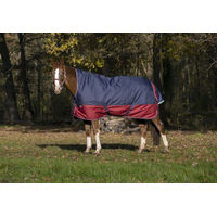 Produktbild von Equithème Pferdedecke Tyrex 1200D High Neck Blau