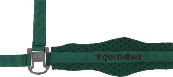 Produktbild von Equithème Pferdehalfter 3D Mesh aus Nylon in Grün