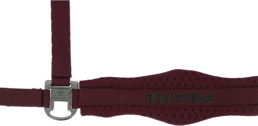 Produktbild von Equithème Pferdehalfter 3D Mesh aus Nylon in Rot für Vollblut