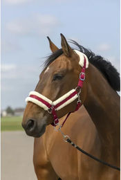 Produktbild von Equithème Pferdehalfter aus Schafsnylon für Ponys in Rot