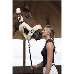 Equithème Pferdehalfter Teddy in Rose Gold und Marineblau für Warmblut – Bild 1 von 2