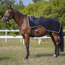 Equithème Polarfleece Nierendecke Polyfun Schwarz – Bild 1 von 6