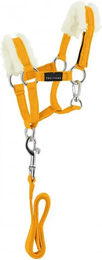 Equithème Pony Academy Mini Halfter mit langer Longe für Ponys aus Polyester in Gelb – Bild 1 von 1