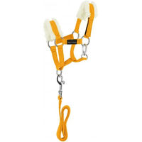 Produktbild von Equithème Pony Academy Mini Halfter mit langer Longe für Ponys aus Polyester in Gelb