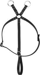 Produktbild von Equithème Pony Academy Mini-Martingal aus Leder für Ponys in Weiß oder Schwarz