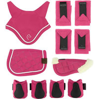Produktbild von Equithème Pony Academy Zubehör Set Rosa aus Polyester für Ponys