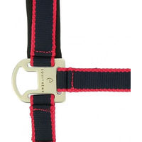 Produktbild von Equithème Pony Halfter aus Nylon in Blau