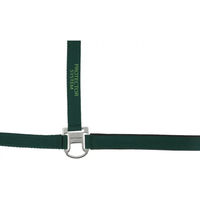 Produktbild von Equithème Protector Halfter für Shetty aus Nylon in Grün
