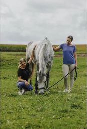 Produktbild von Equithème Reitleggings Full Grip Damen Lila