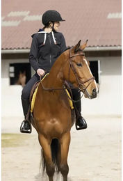 Produktbild von Equithème Reitweste Phoebe für Damen Schwarz 2XS aus Polyester ganzjährig nutzbar