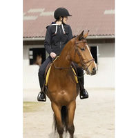 Produktbild von Equithème Reitweste Phoebe für Damen Schwarz 2XS aus Polyester ganzjährig nutzbar