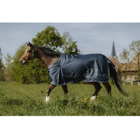Produktbild von Equithème Riding World Eco 1200D Außendecke für Pferde Blau 6'0