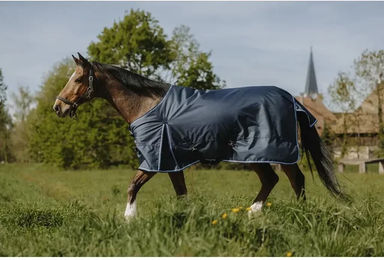 Equithème Riding World Eco 1200D Außendecke für Pferde mit 50g Füllung in Blau – Bild 1 von 2