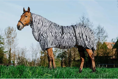 Equithème Riding World Zebra Ekzemendecke für Pferde mit Bauchlatz 95 cm – Bild 1 von 7