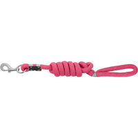 Produktbild von Equithème Rio Hundeleine aus Kunststoff in Rosa und Silber