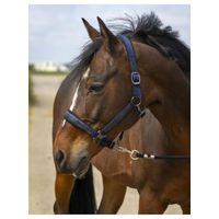 Produktbild von Equithème S-LINE Nylon Halfter mit Strass und Glitzer für Ponys in Navy Blau