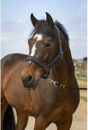 Equithème S-LINE Nylon Strass Halfter für Ponys in Dunkelgrün – Bild 1 von 2