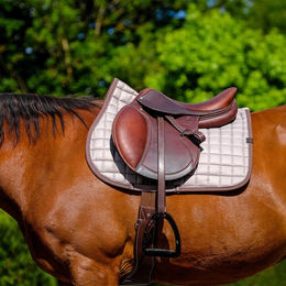 Equithème Schabracke Chic Satteldecke für Pferde aus Polyester in Grau oder Beige für Warmblut – Bild 1 von 11