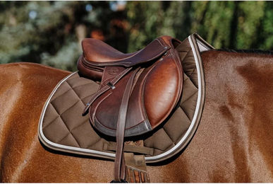 Equithème Schabracke Classic Sattelunterlage für Pferde dunkelbraun Größe Warmblut – Bild 1 von 10