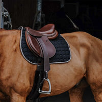 Produktbild von Equithème Schabracke Orion Sattelunterlage für Warmblut Pferde aus Polyester