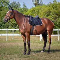 Produktbild von Equithème Schabracke Polyfun Sattelunterlage aus Baumwolle für Shetty Pferde