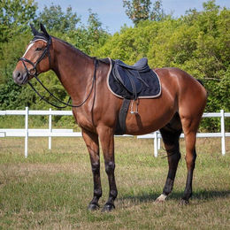 Equithème Schabracke Polyfun Sattelunterlage für Pferde aus Baumwolle Gelb Shetty – Bild 1 von 2