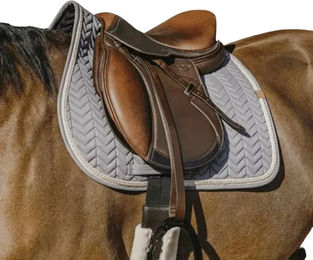 Equithème Schabracke Softy Sattelunterlage für Ponys aus Polyester – Bild 1 von 11