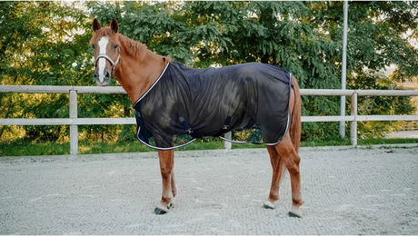 Produktbild von Equithème Serenity Fliegenhemd für Pferde aus Polyester 135 cm
