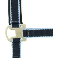 Produktbild von Equithème Shetty Halfter aus Nylon in Blau