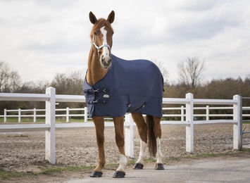 Equithème Softshell Decke für Pferde in Marineblau – Bild 1 von 1