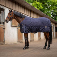 Produktbild von Equithème Stalldecke für Pferde 600D 3-Layer Größe 6'9