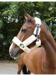 Equithème Teddy Halfter für Ponys in Blau aus Kunststoff – Bild 1 von 3