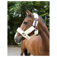 Produktbild von Equithème Teddy Halfter für Ponys in Blau aus Kunststoff