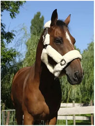 Equithème Teddy Halfter für Ponys in Braun und Beige aus Kunststoff – Bild 1 von 5