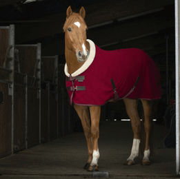 Equithème Teddy Polarfleece Abschwitzdecke für Pferde grün/braun – Bild 1 von 2